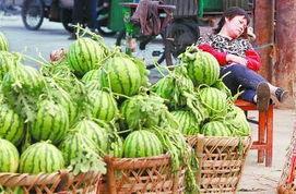 唐县吃瓜最新事件爆料,揭秘背后惊人真相