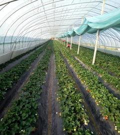 吃瓜群爆料大棚图片高清,高清图片下的农业秘密大曝光