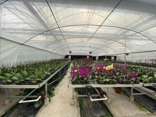 吃瓜群爆料大棚图片高清,高清图片下的农业秘密大曝光