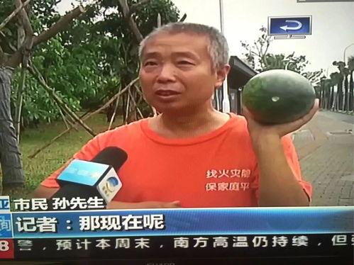 今日吃瓜热门事件小野,揭秘今日热门事件背后的真相