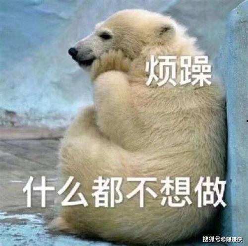 热门短视频吃瓜群众,他们如何定义网络热点