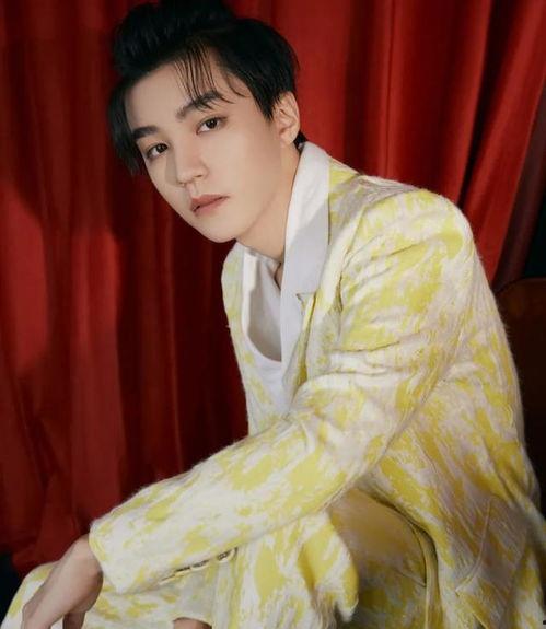 王俊凯黑料吃瓜,真相与谣言的交织