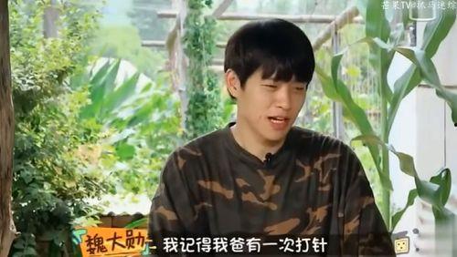 吃瓜爆料王源任嘉伦,娱乐圈的瓜田新秀