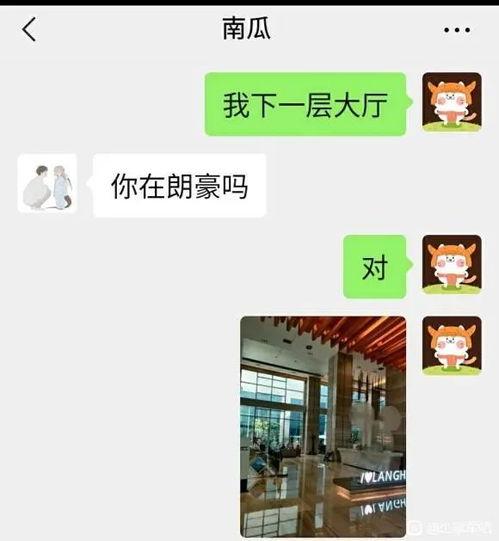 女用户吃瓜爆料视频大全,揭秘热门吃瓜爆料视频大全