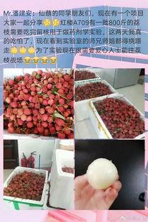 广西大学吃瓜大爆料,揭秘校园热点事件背后的真相