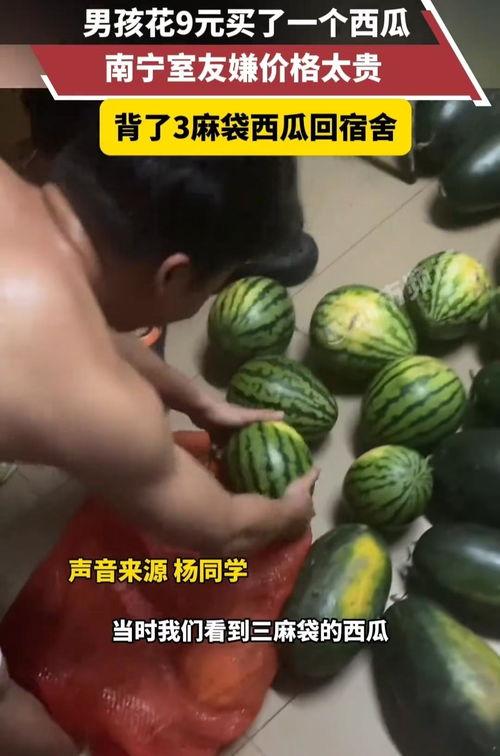 广西大学吃瓜大爆料,揭秘校园热点事件背后的真相