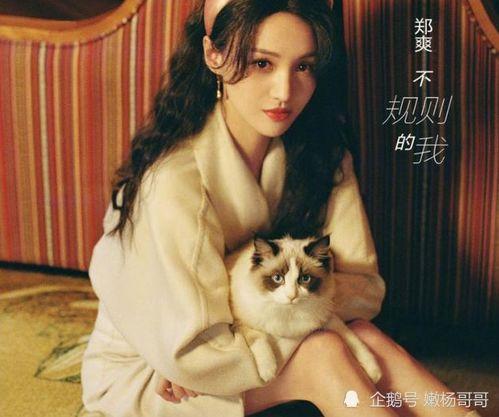 魔幻娱乐圈吃瓜