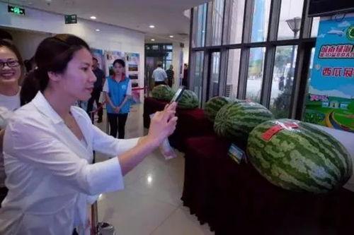 蔚县吃瓜事件最新爆料新闻,最新爆料揭露惊人内幕