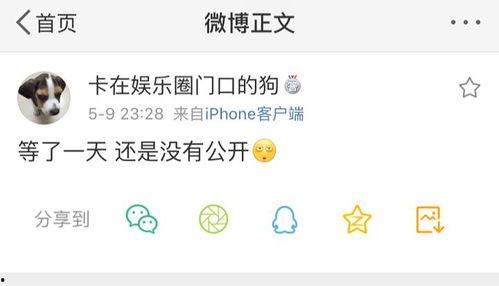 吃瓜爆料在哪里找,吃瓜爆料，揭秘娱乐圈幕后真相