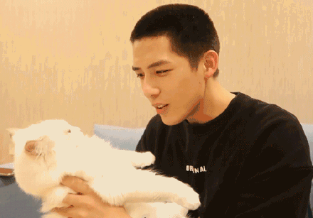 吃瓜爆料谭松韵新戏,悬疑剧情引期待