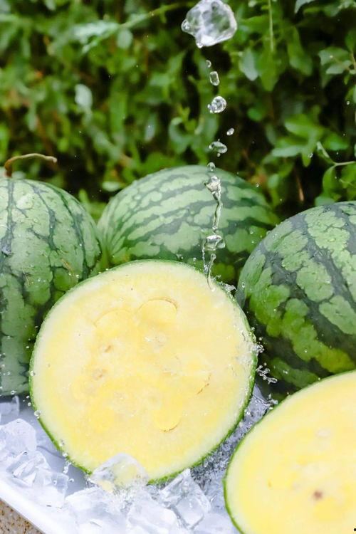 吃瓜黑料爆料网zztt,吃瓜黑料爆料网zztt独家揭秘