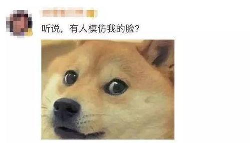 狗头 黑料 吃瓜