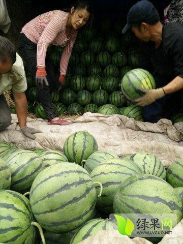 山东最新吃瓜爆料事件