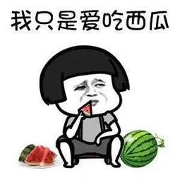 过度解读娱乐吃瓜酱